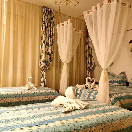 Pensiunea Schwartzy Guest house *