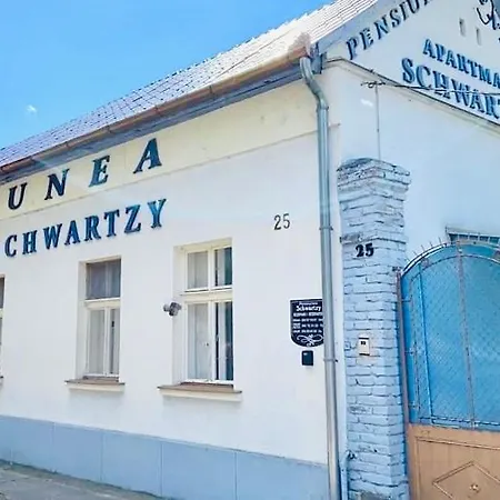 Guest house Pensiunea Schwartzy Mako