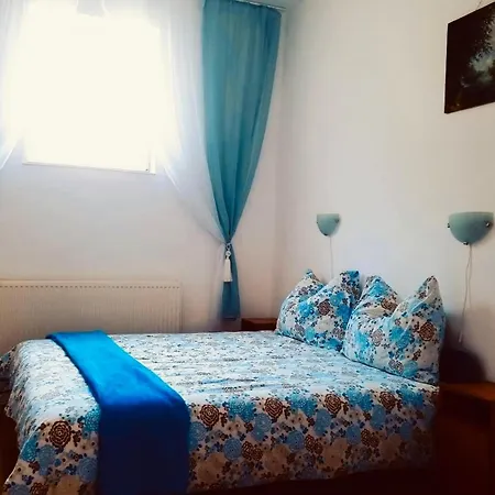 Pensiunea Schwartzy Guest house *