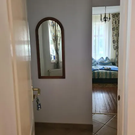 Guest house Pensiunea Schwartzy *