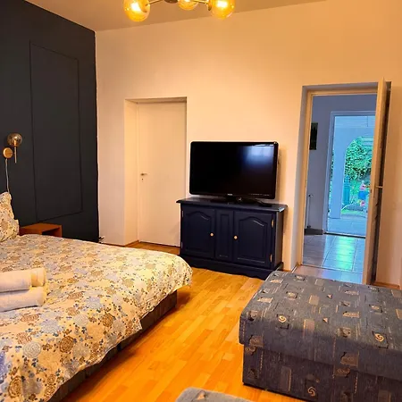 Guest house Pensiunea Schwartzy Mako
