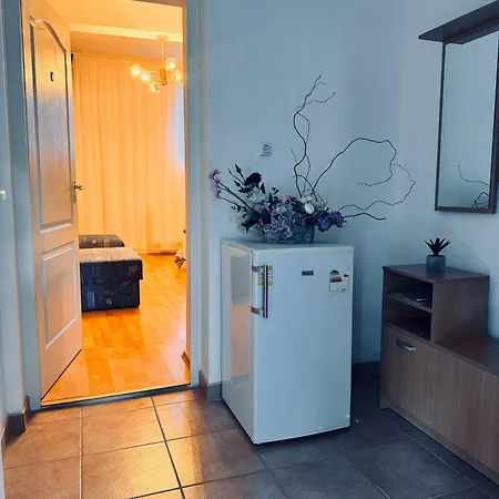 Pensiunea Schwartzy Guest house