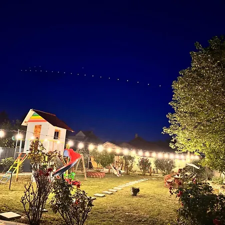 Guest house Pensiunea Schwartzy Mako