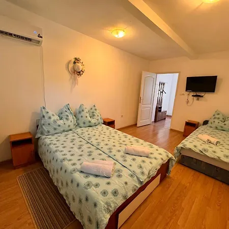 Pensiunea Schwartzy Guest house *