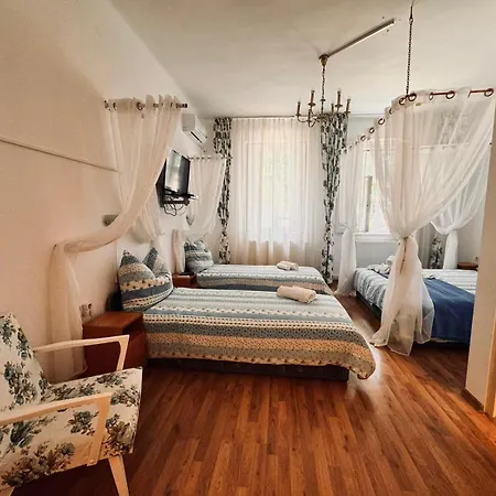 Guest house Pensiunea Schwartzy
