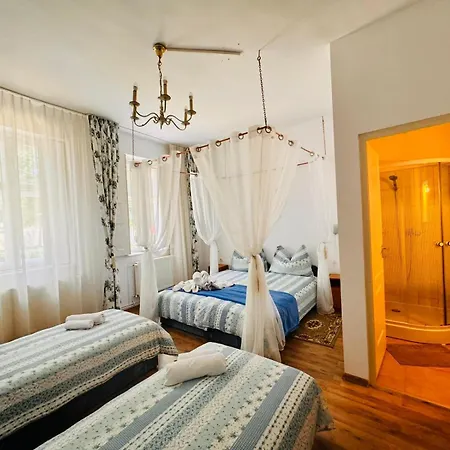 Pensiunea Schwartzy Guest house *