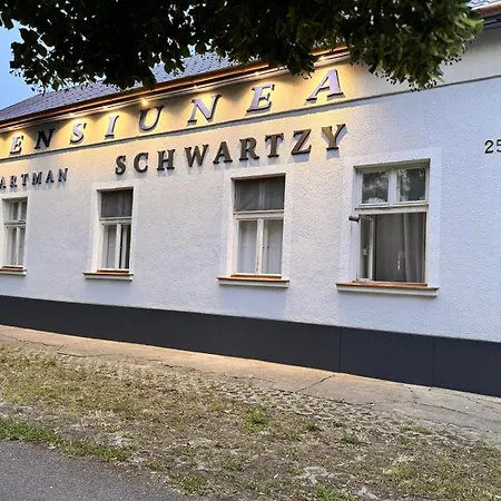 Pensiunea Schwartzy 3* Makó