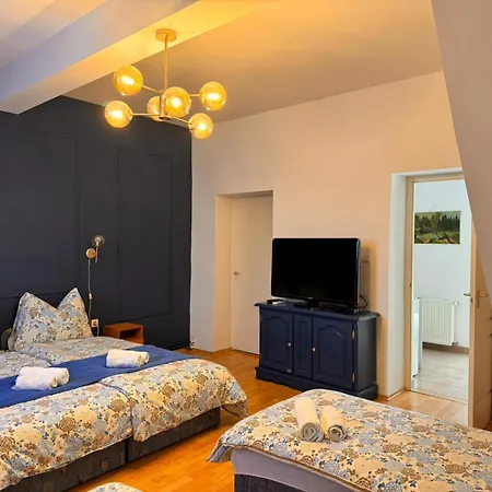 Pensiunea Schwartzy Guest house *