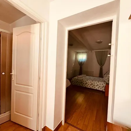 Pensiunea Schwartzy Guest house *