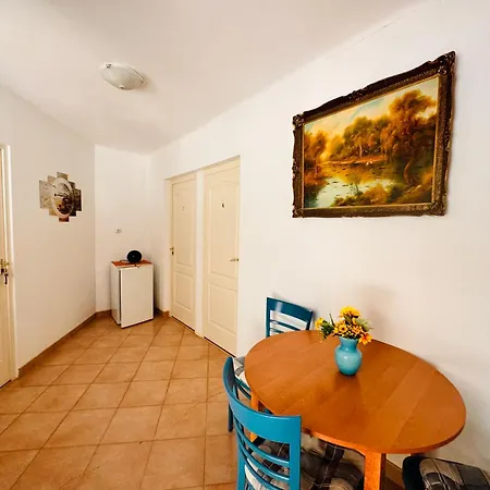 Guest house Pensiunea Schwartzy