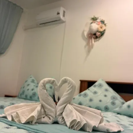 Vendégház Pensiunea Schwartzy 3*