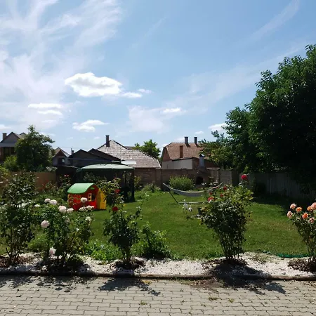 Guest house Pensiunea Schwartzy *
