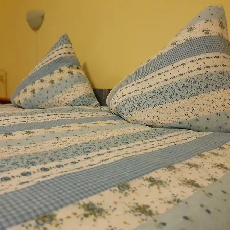 Vendégház Pensiunea Schwartzy *