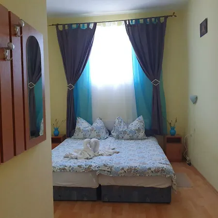 Pensiunea Schwartzy Guest house *