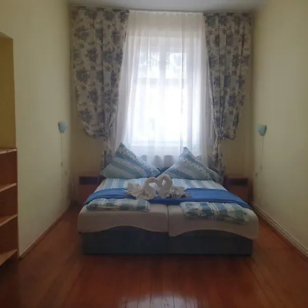 Guest house Pensiunea Schwartzy *