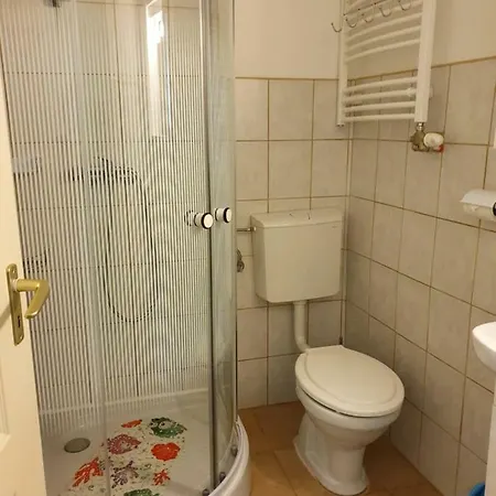 Guest house Pensiunea Schwartzy