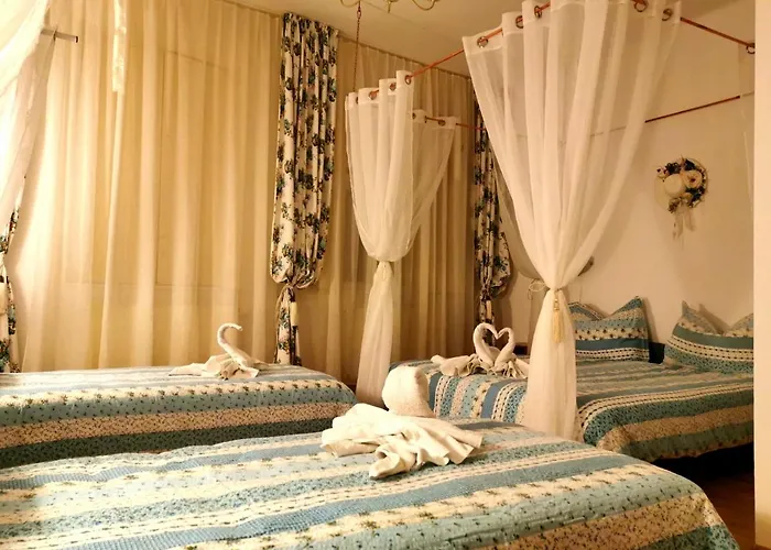 Pensiunea Schwartzy בית הארחה 3*