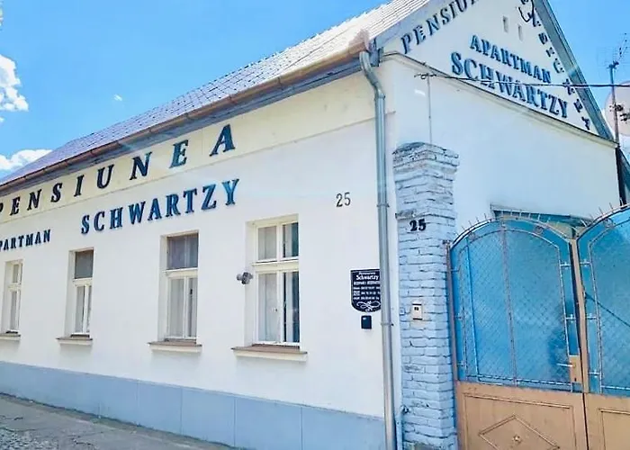 ゲストハウス Pensiunea Schwartzy Makó