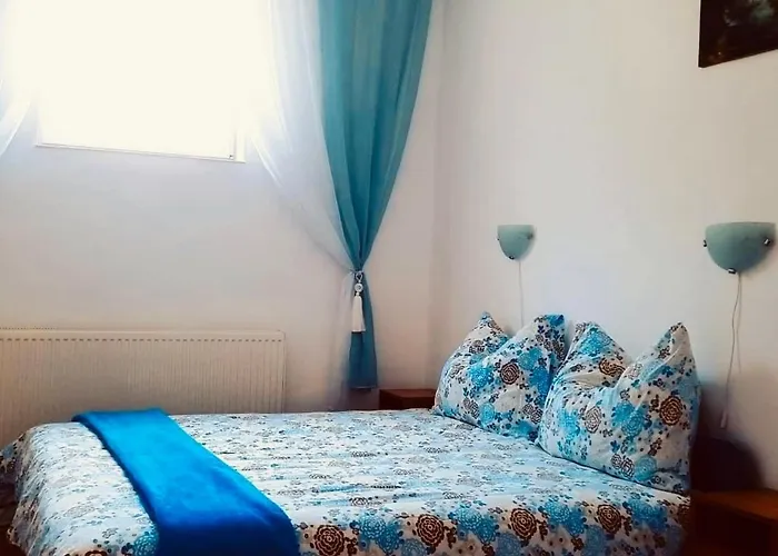 Pensiunea Schwartzy בית הארחה 3*