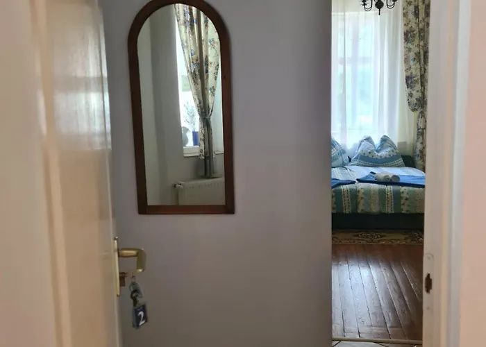 בית הארחה Pensiunea Schwartzy 3*