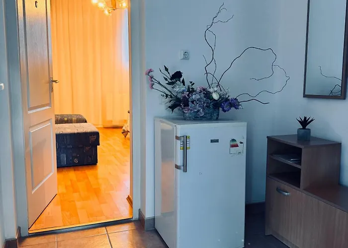 Pensiunea Schwartzy בית הארחה