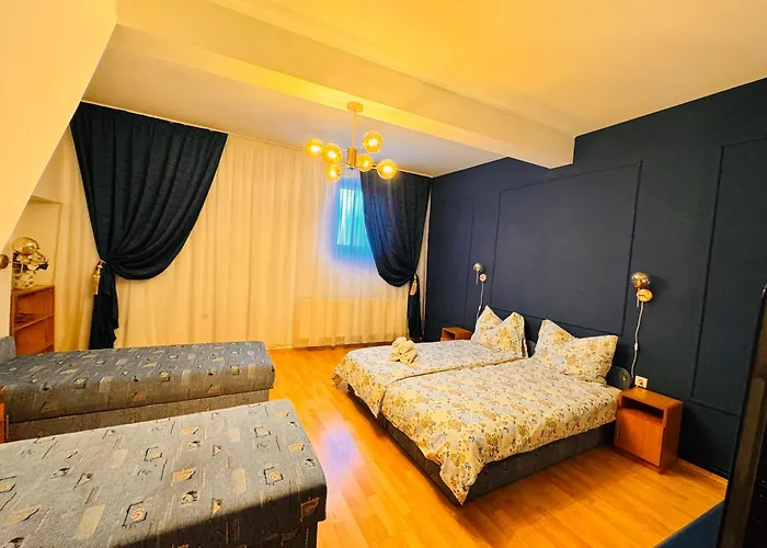 בית הארחה Pensiunea Schwartzy 3*