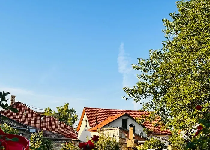 Pensiunea Schwartzy 3*