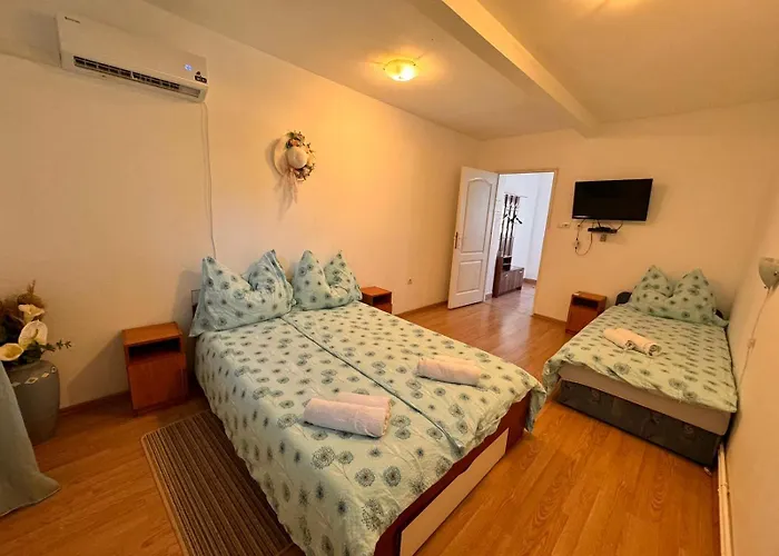 Pensiunea Schwartzy בית הארחה 3*