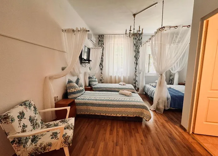 בית הארחה Pensiunea Schwartzy