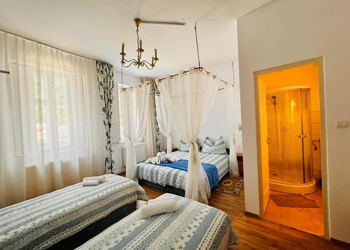 Pensiunea Schwartzy בית הארחה 3*