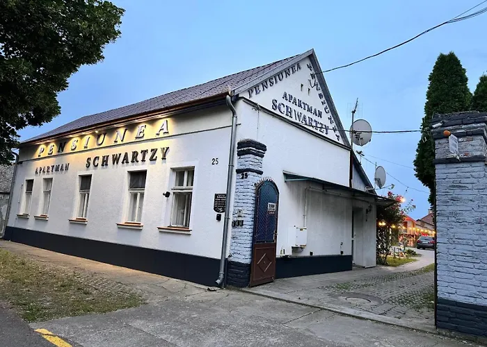 בית הארחה Pensiunea Schwartzy 3*