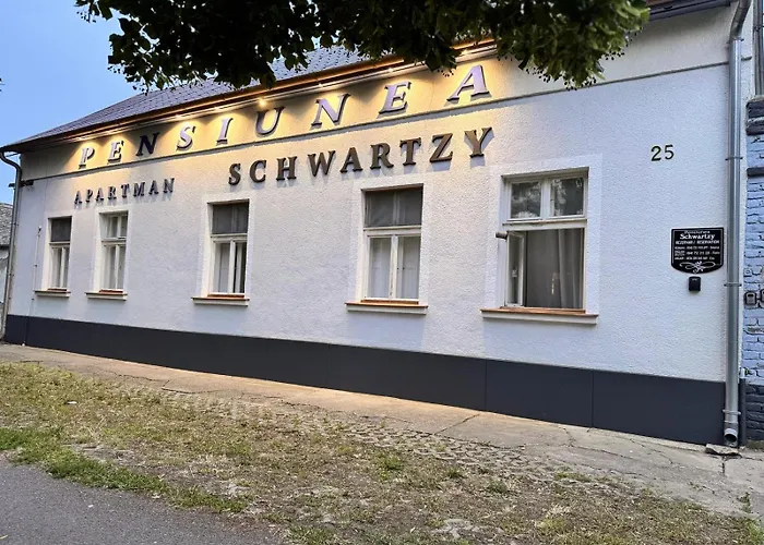 Pensiunea Schwartzy 3* מאקו