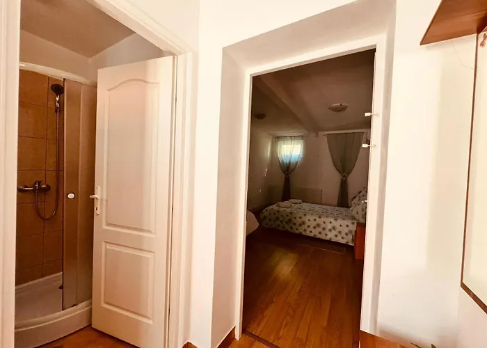 Pensiunea Schwartzy בית הארחה 3*