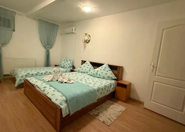 Pensiunea Schwartzy בית הארחה 3*