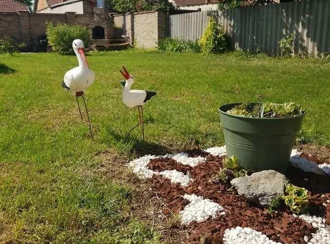 בית הארחה Pensiunea Schwartzy