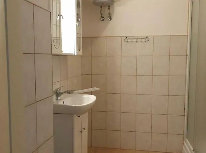 בית הארחה Pensiunea Schwartzy 3*