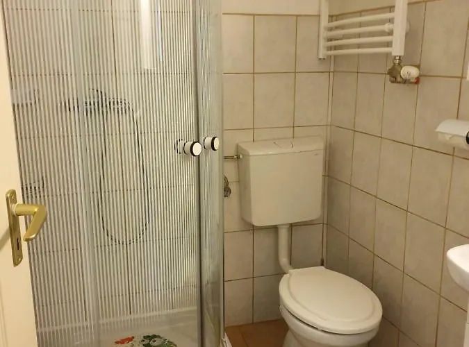 בית הארחה Pensiunea Schwartzy